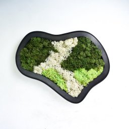Schilderij van mos arrangement Dia. 30 cm - Hortus