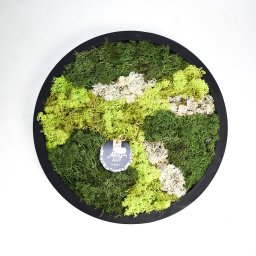 Schilderij van mos arrangement Rond Dia. 27 cm - Hortus